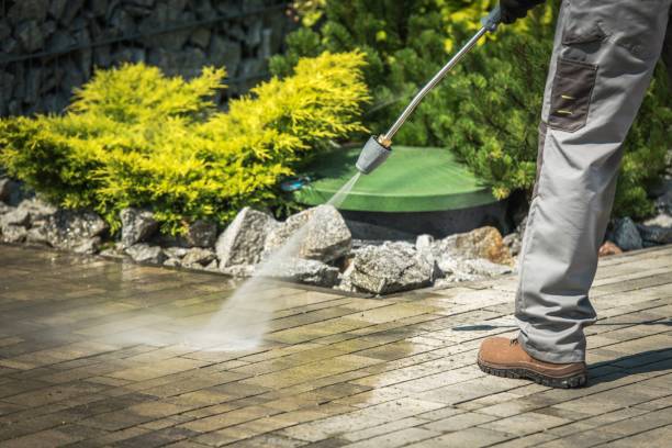 Best Fence Cleaning  in Hooks, TX