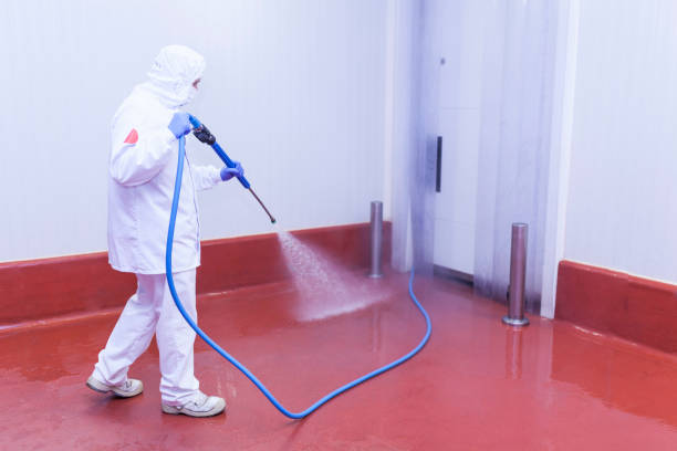 Best Soft Washing  in Hooks, TX